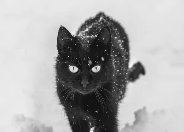 beyond borders, beyond banks